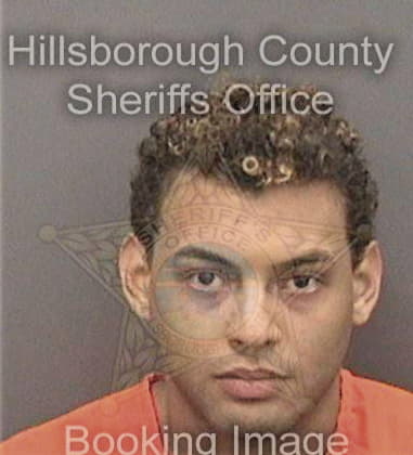 Skyler Williams, - Hillsborough County, FL 