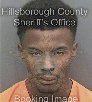 David Burgess, - Hillsborough County, FL 