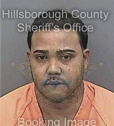 Lars Latham, - Hillsborough County, FL 