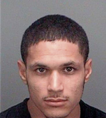 Derral McGinnis - Pinellas County, FL 