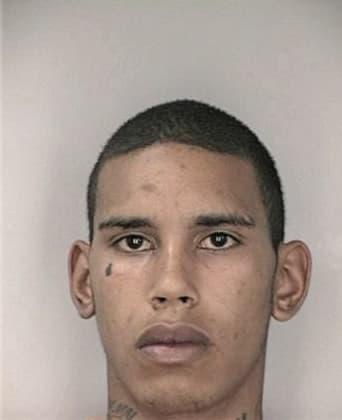 Robert Pena, - Hillsborough County, FL 