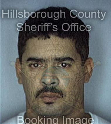 Edward Silva, - Hillsborough County, FL 