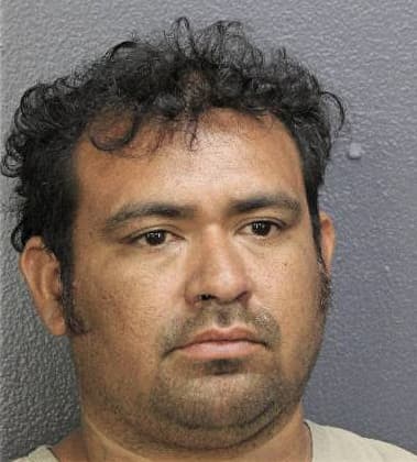 Elian Tineo, - Broward County, FL 