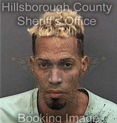 Mark Devine, - Hillsborough County, FL 