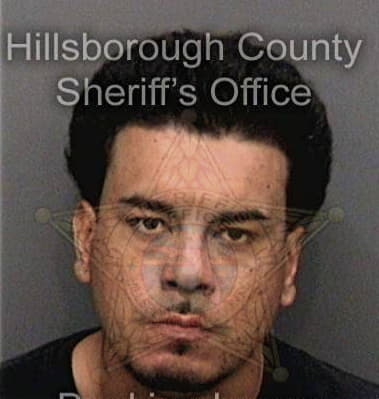 Gregory English, - Hillsborough County, FL 