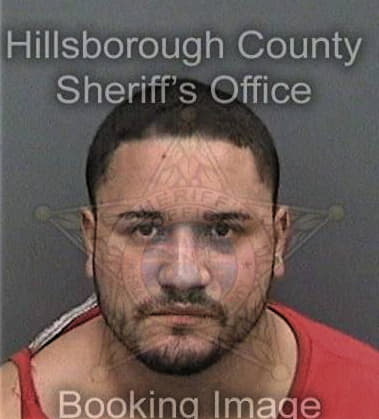 Robert Hartley, - Hillsborough County, FL 