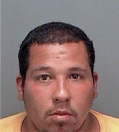 Aldrin Hernandezmoreno, - Pinellas County, FL 