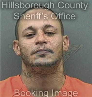 Emilio Villarreal, - Hillsborough County, FL 