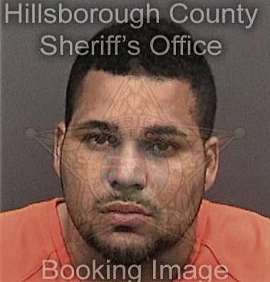 Christopher Brooks, - Hillsborough County, FL 