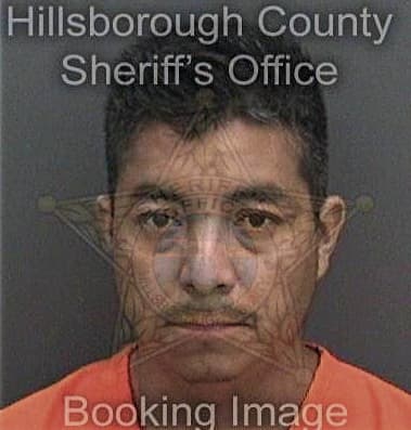 Alfredo Diaz, - Hillsborough County, FL 