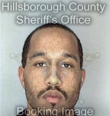 Michael Gainey, - Hillsborough County, FL 