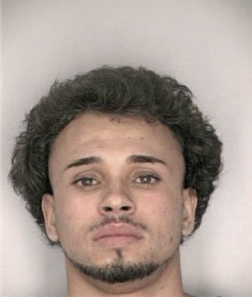 Alejandro Hernandez - Hillsborough County, FL 