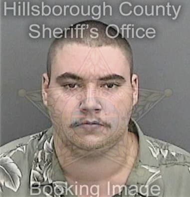 Daniel Hoylegermann, - Hillsborough County, FL 