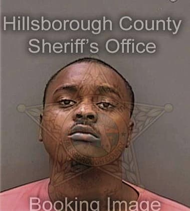 Jovonti Wells, - Hillsborough County, FL 