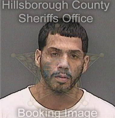 Arthur Dobbins, - Hillsborough County, FL 