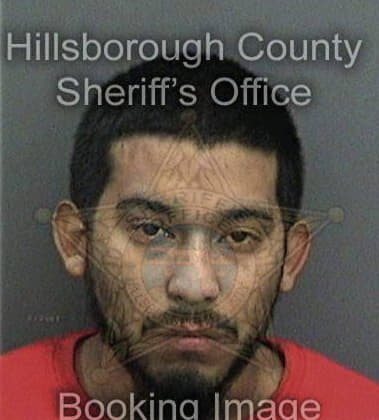 Nathaniel Fortune, - Hillsborough County, FL 