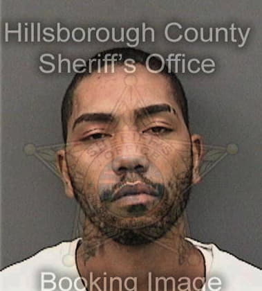 Michael Lawson, - Hillsborough County, FL 