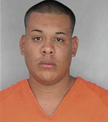 Luis Martinez, - Hillsborough County, FL 