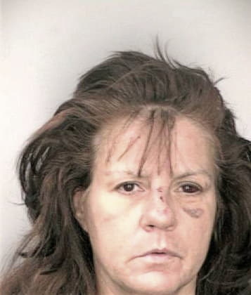 Robin Messer - Hillsborough County, FL 