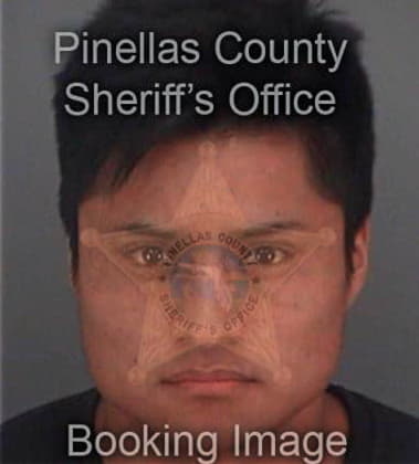 Lorenzo Mitchell, - Pinellas County, FL 