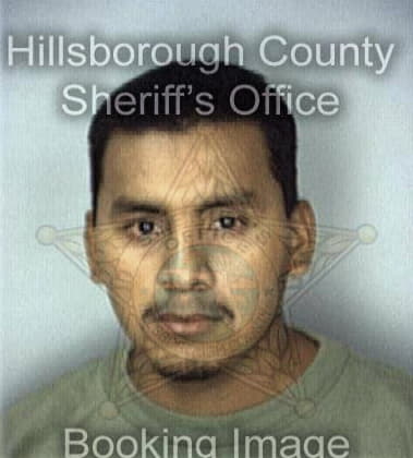 Francisco Morales, - Hillsborough County, FL 