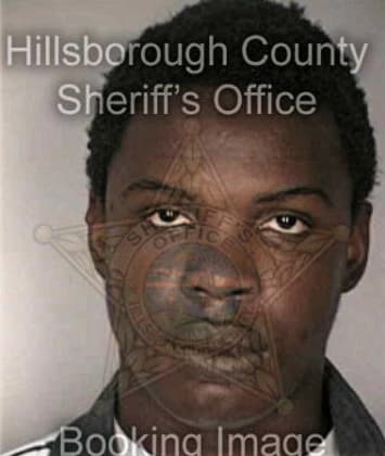 Reginald Singleton, - Hillsborough County, FL 