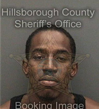 Eric Sullivan, - Hillsborough County, FL 