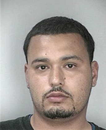 Jesus Teranvalera, - Hillsborough County, FL 