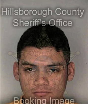 Manuel Valdez, - Hillsborough County, FL 