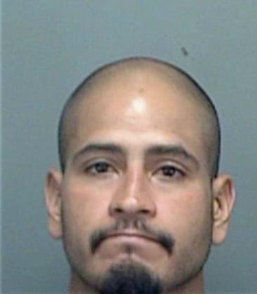 Jose Vila, - Pinellas County, FL 