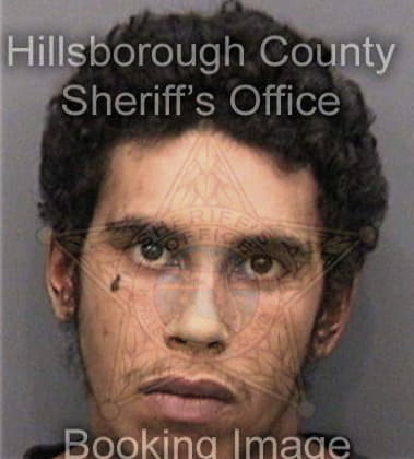 Alexander Carbajal, - Hillsborough County, FL 