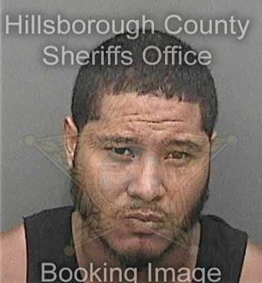 Misael Cruzperez, - Hillsborough County, FL 