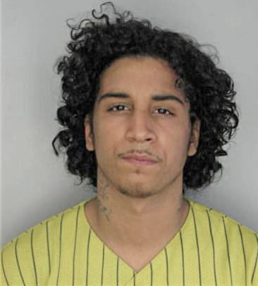 Gabriel Faezhernandez, - Hillsborough County, FL 