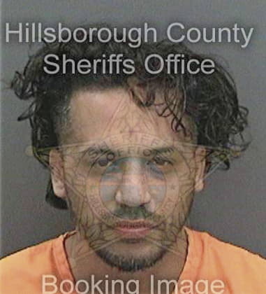 Raul Gambemata, - Hillsborough County, FL 