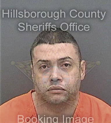 Mahdad Moghaddam, - Hillsborough County, FL 