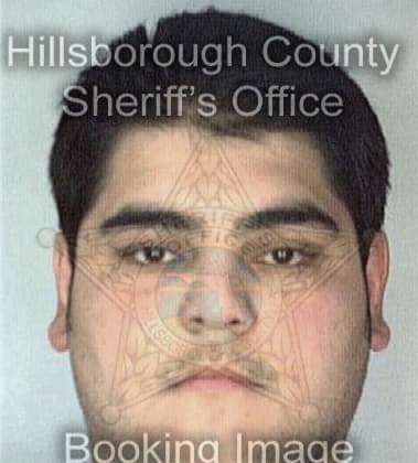 Raimundo Palenzuela, - Hillsborough County, FL 