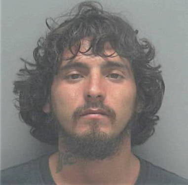 Heverton Silva, - Lee County, FL 