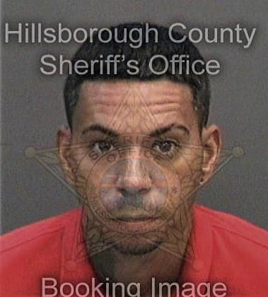 Leonel Barban-Ortiz, - Hillsborough County, FL 