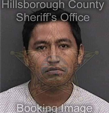 Angel Garrestequi, - Hillsborough County, FL 