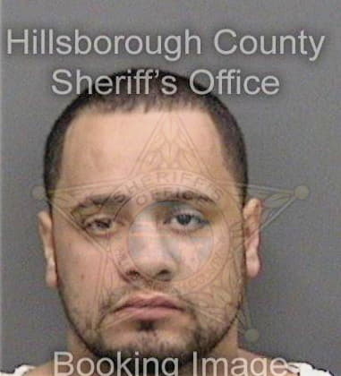 Martin Ginding, - Hillsborough County, FL 