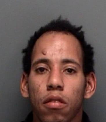 Carlos McGowan - Pinellas County, FL 