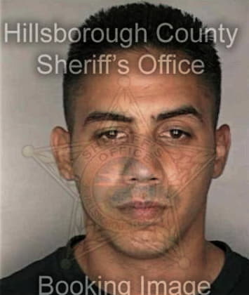 Taino Ortiz, - Hillsborough County, FL 