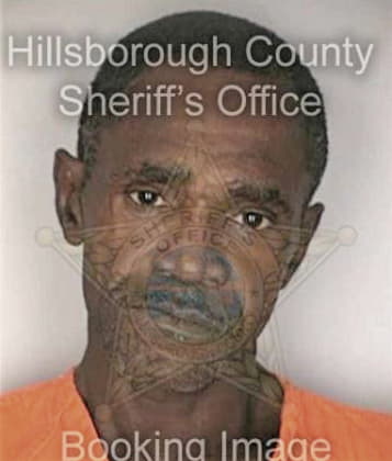 Laregos Williams, - Hillsborough County, FL 