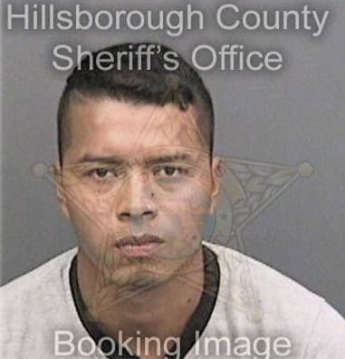 Michael Banks, - Hillsborough County, FL 