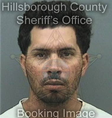 David Fernandez, - Hillsborough County, FL 