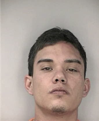 Erick Floreshernanez, - Hillsborough County, FL 