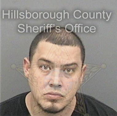 Diego Perera, - Hillsborough County, FL 