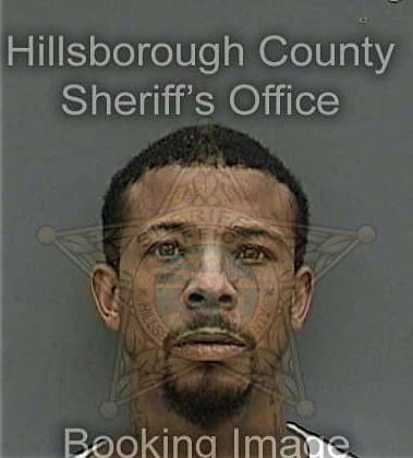 William Pereyra, - Hillsborough County, FL 