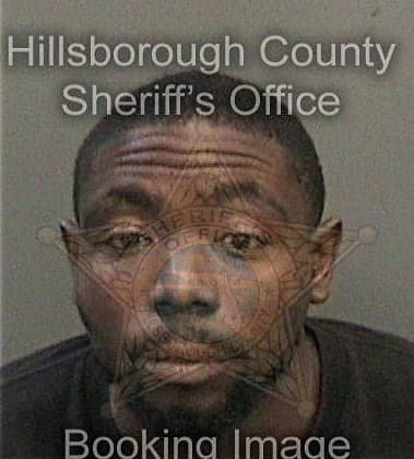 Michael Stocking, - Hillsborough County, FL 