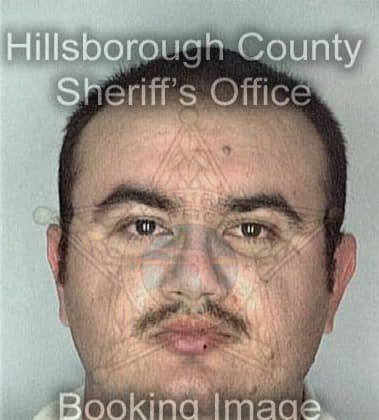 Lino Acevedo, - Hillsborough County, FL 